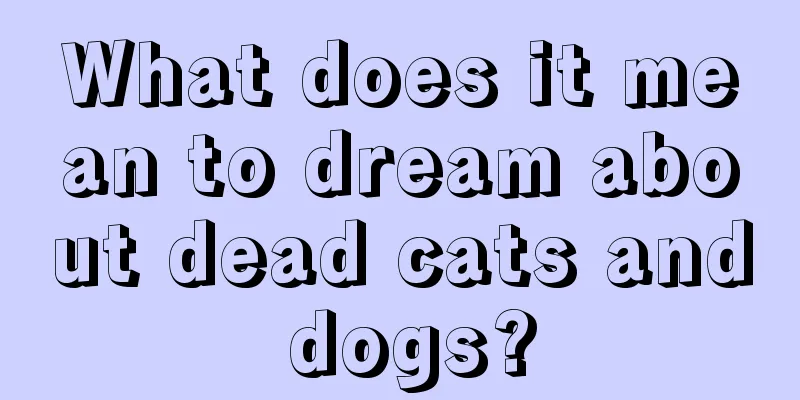 What does it mean to dream about dead cats and dogs?