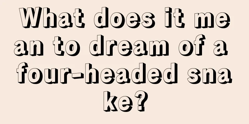 What does it mean to dream of a four-headed snake?