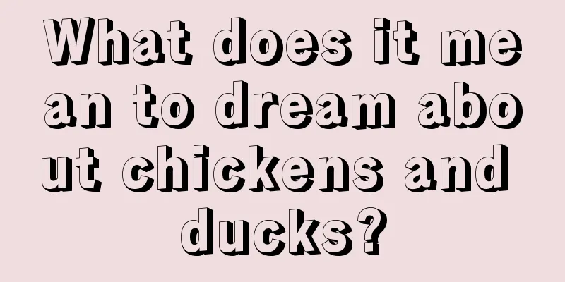 What does it mean to dream about chickens and ducks?