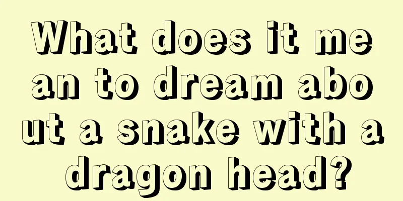 What does it mean to dream about a snake with a dragon head?