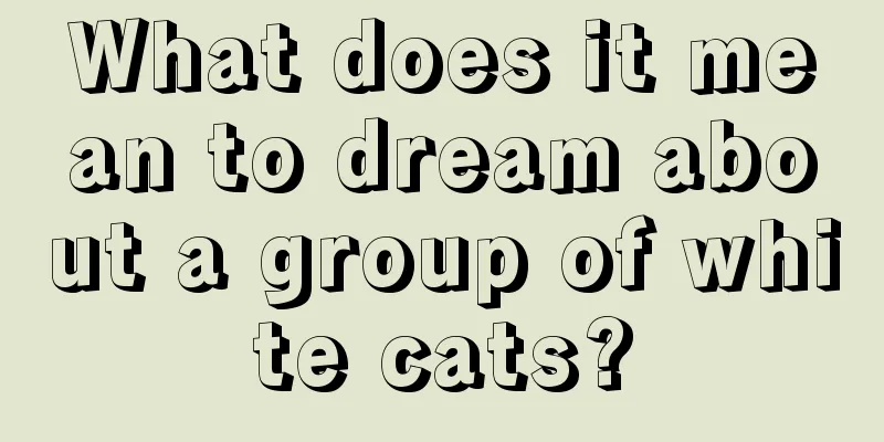 What does it mean to dream about a group of white cats?