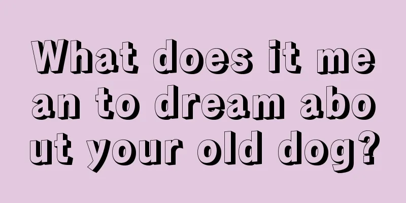 What does it mean to dream about your old dog?