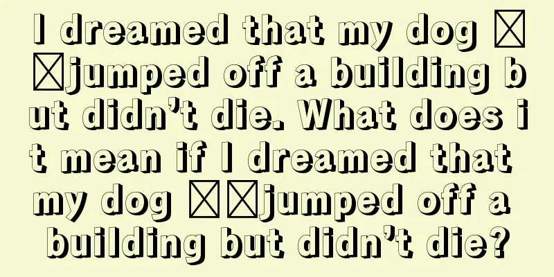 I dreamed that my dog ​​jumped off a building but didn’t die. What does it mean if I dreamed that my dog ​​jumped off a building but didn’t die?