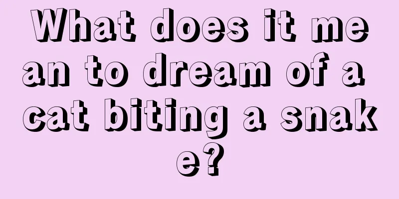 What does it mean to dream of a cat biting a snake?