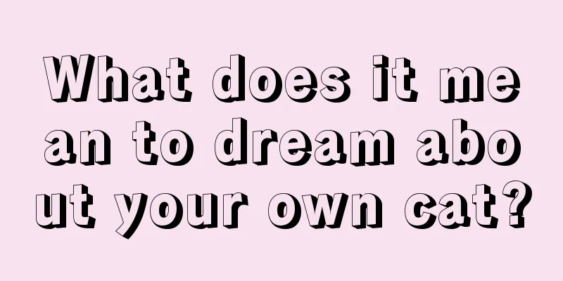 What does it mean to dream about your own cat?