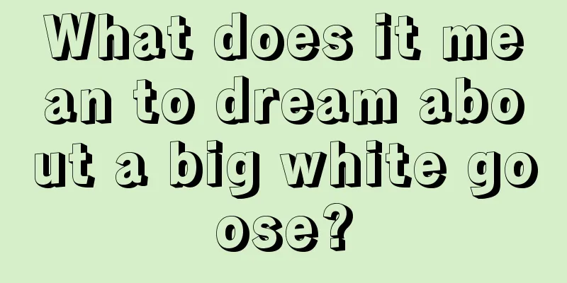 What does it mean to dream about a big white goose?