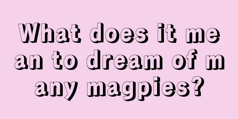 What does it mean to dream of many magpies?