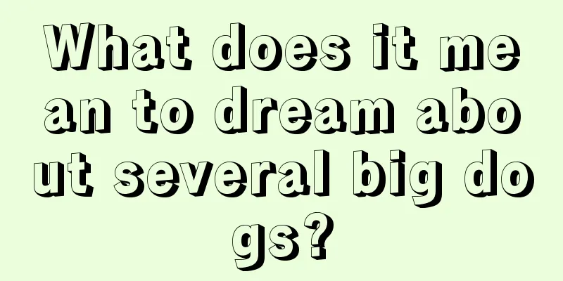 What does it mean to dream about several big dogs?