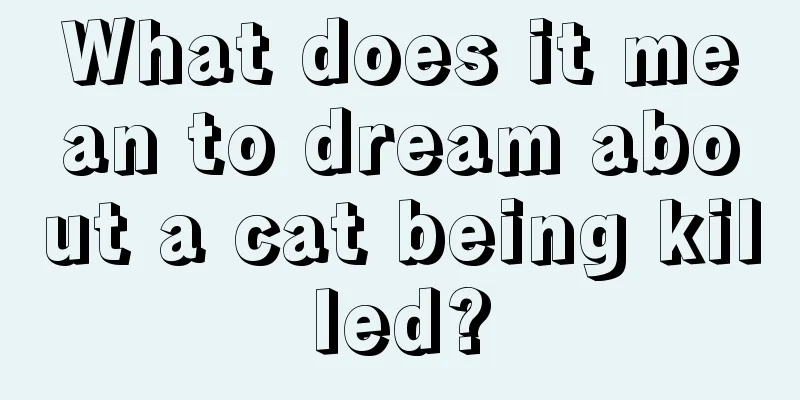 What does it mean to dream about a cat being killed?