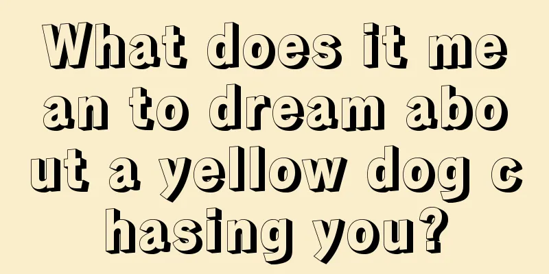 What does it mean to dream about a yellow dog chasing you?