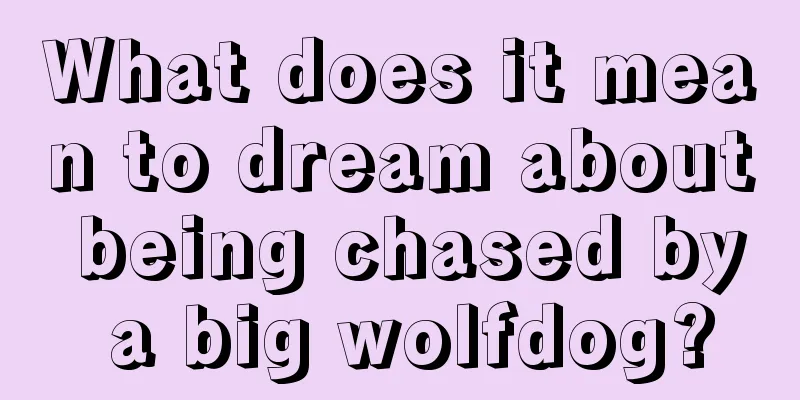 What does it mean to dream about being chased by a big wolfdog?