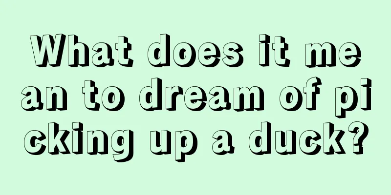 What does it mean to dream of picking up a duck?