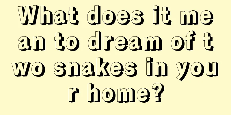 What does it mean to dream of two snakes in your home?