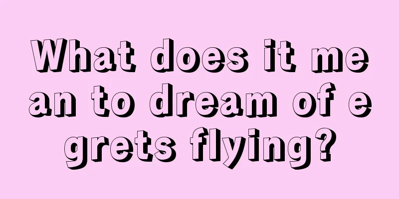 What does it mean to dream of egrets flying?