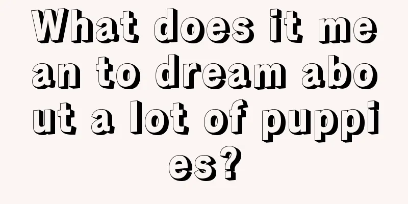 What does it mean to dream about a lot of puppies?