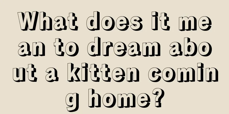 What does it mean to dream about a kitten coming home?