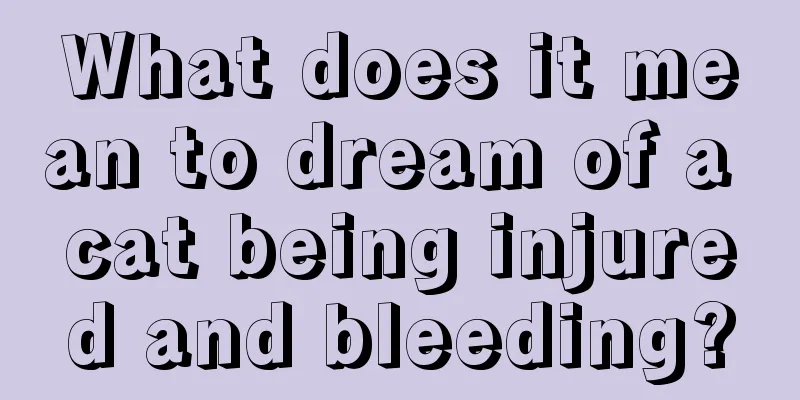 What does it mean to dream of a cat being injured and bleeding?