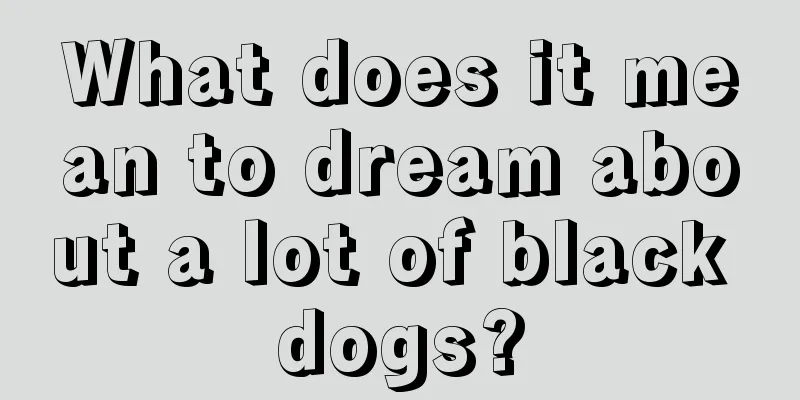 What does it mean to dream about a lot of black dogs?