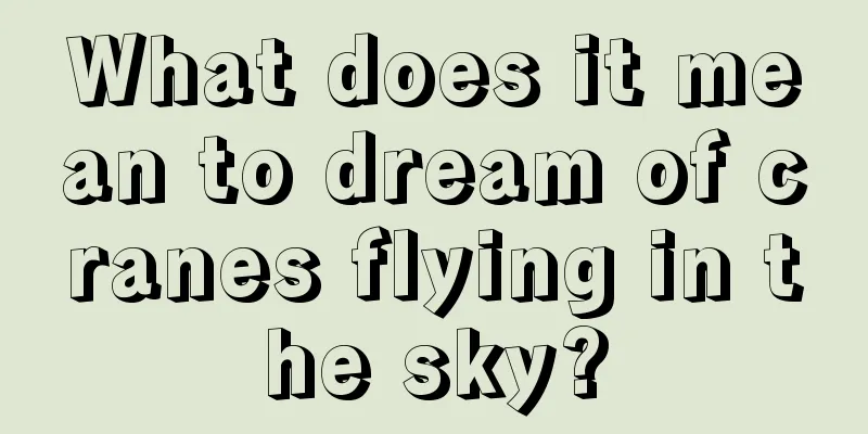 What does it mean to dream of cranes flying in the sky?