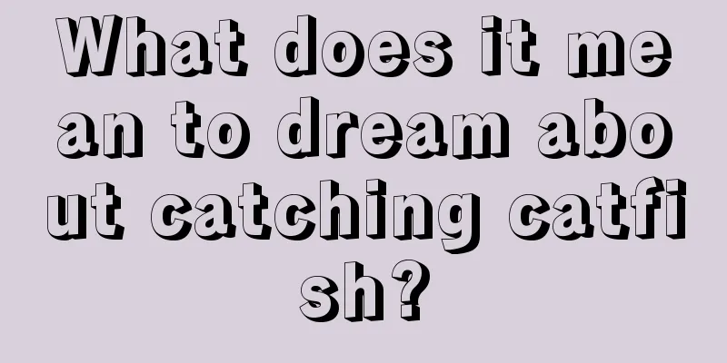 What does it mean to dream about catching catfish?