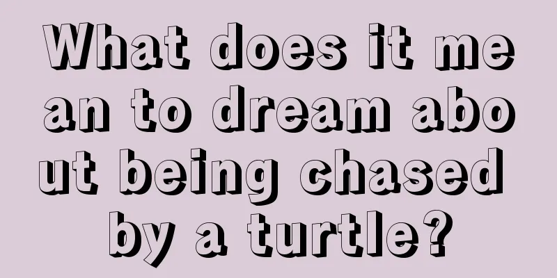 What does it mean to dream about being chased by a turtle?