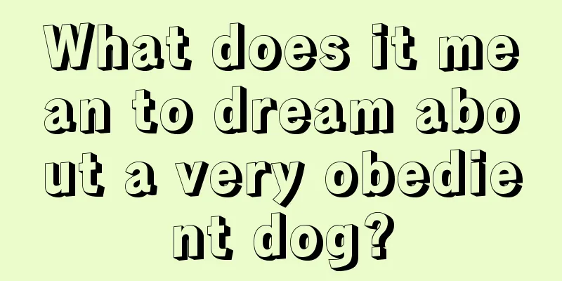 What does it mean to dream about a very obedient dog?