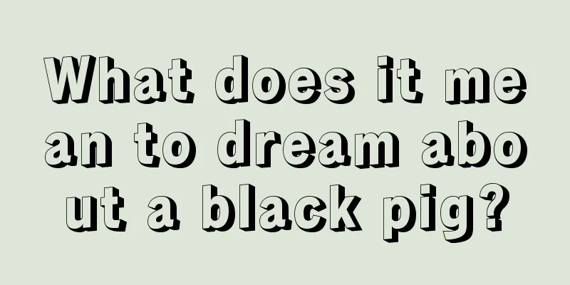 What does it mean to dream about a black pig?