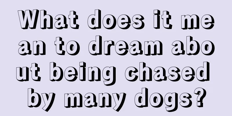 What does it mean to dream about being chased by many dogs?