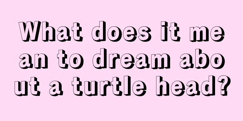 What does it mean to dream about a turtle head?