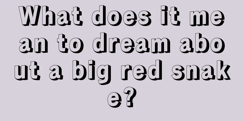 What does it mean to dream about a big red snake?