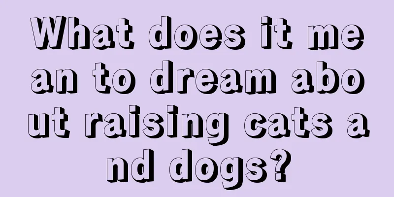 What does it mean to dream about raising cats and dogs?