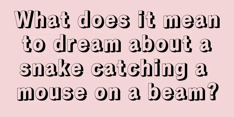 What does it mean to dream about a snake catching a mouse on a beam?