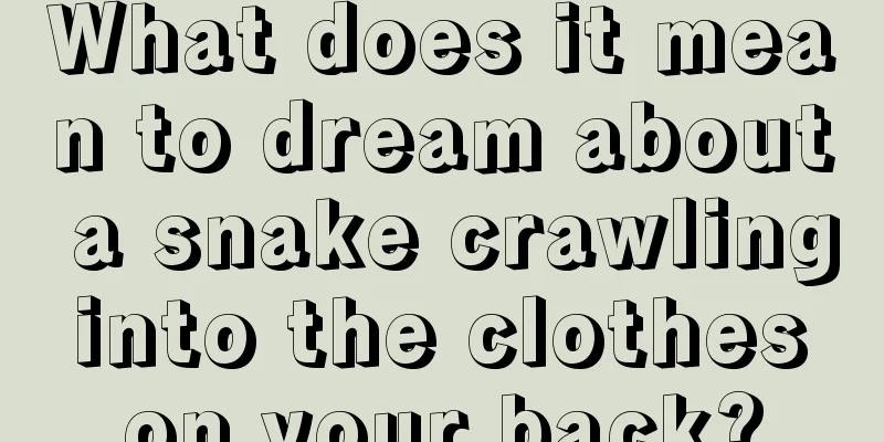 What does it mean to dream about a snake crawling into the clothes on your back?