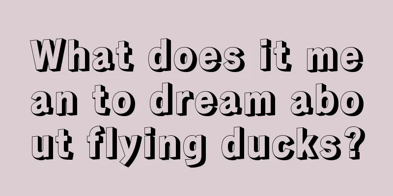 What does it mean to dream about flying ducks?