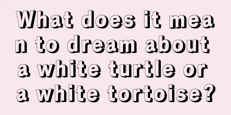 What does it mean to dream about a white turtle or a white tortoise?