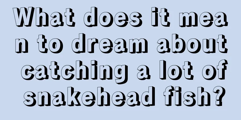 What does it mean to dream about catching a lot of snakehead fish?