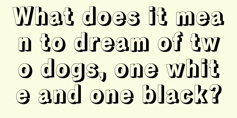 What does it mean to dream of two dogs, one white and one black?