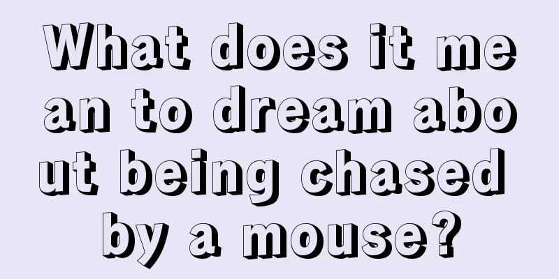 What does it mean to dream about being chased by a mouse?