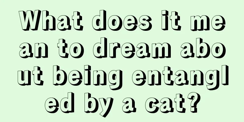 What does it mean to dream about being entangled by a cat?