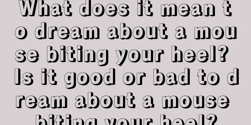 What does it mean to dream about a mouse biting your heel? Is it good or bad to dream about a mouse biting your heel?