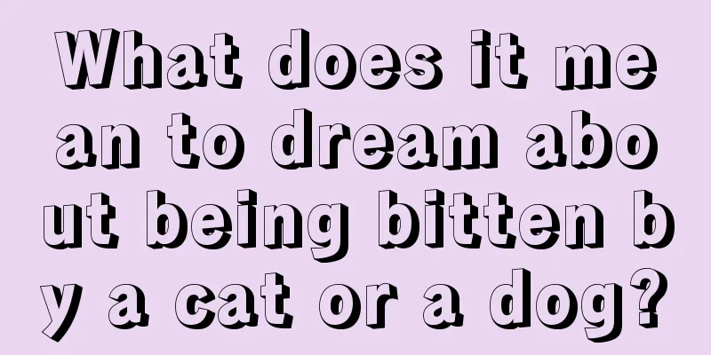 What does it mean to dream about being bitten by a cat or a dog?