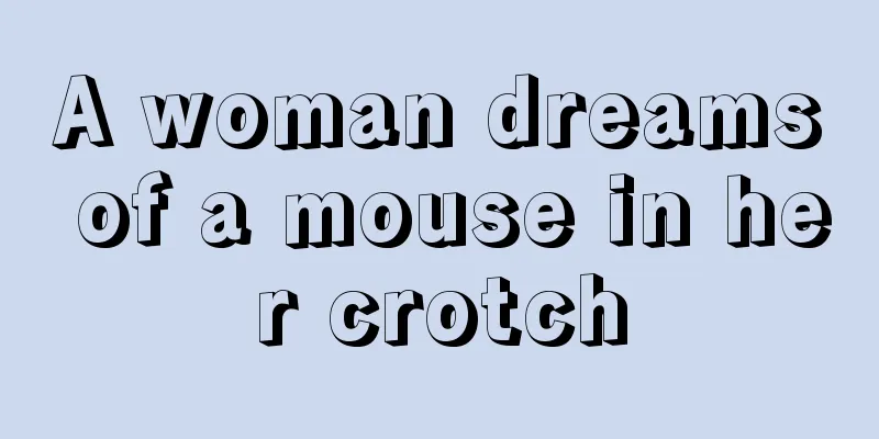 A woman dreams of a mouse in her crotch