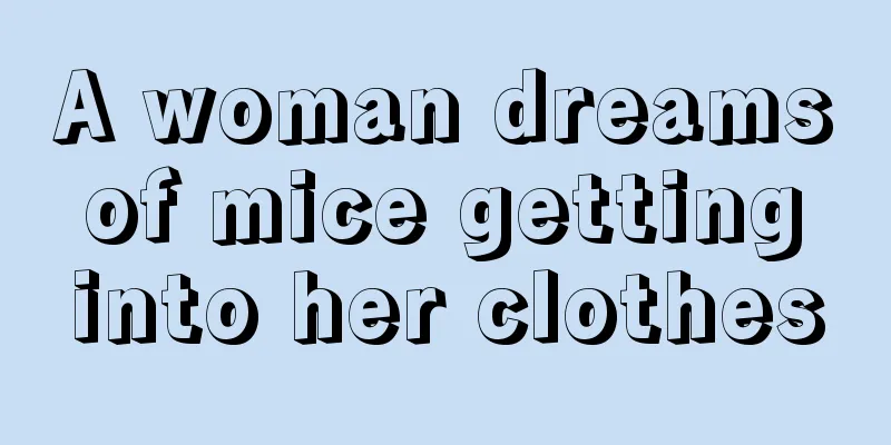 A woman dreams of mice getting into her clothes