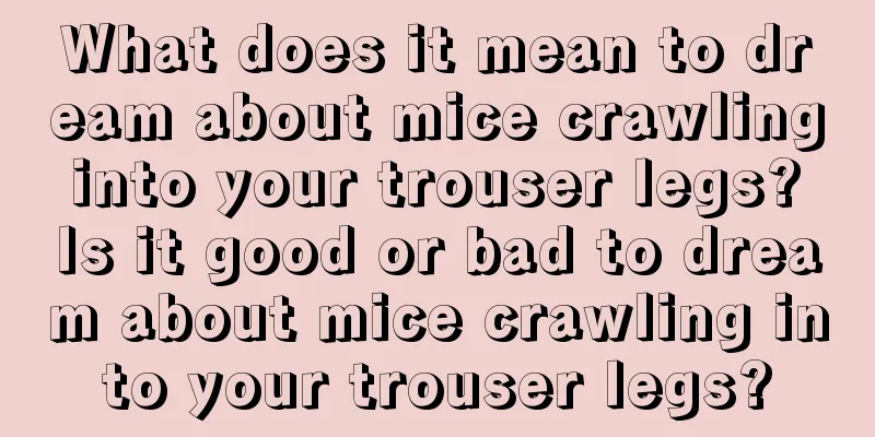 What does it mean to dream about mice crawling into your trouser legs? Is it good or bad to dream about mice crawling into your trouser legs?