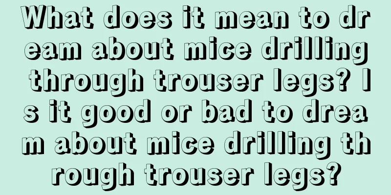 What does it mean to dream about mice drilling through trouser legs? Is it good or bad to dream about mice drilling through trouser legs?