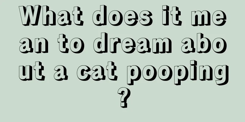 What does it mean to dream about a cat pooping?