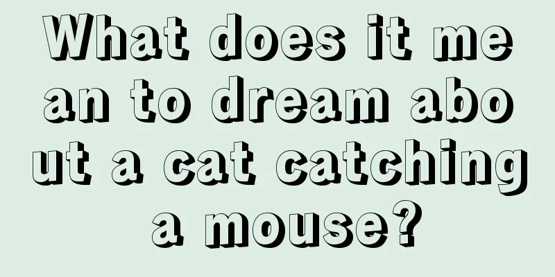 What does it mean to dream about a cat catching a mouse?