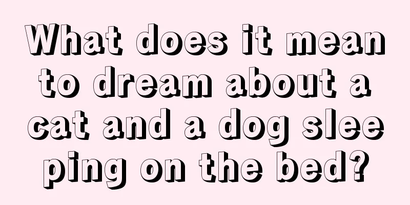 What does it mean to dream about a cat and a dog sleeping on the bed?