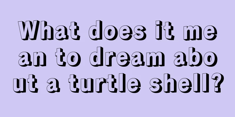 What does it mean to dream about a turtle shell?