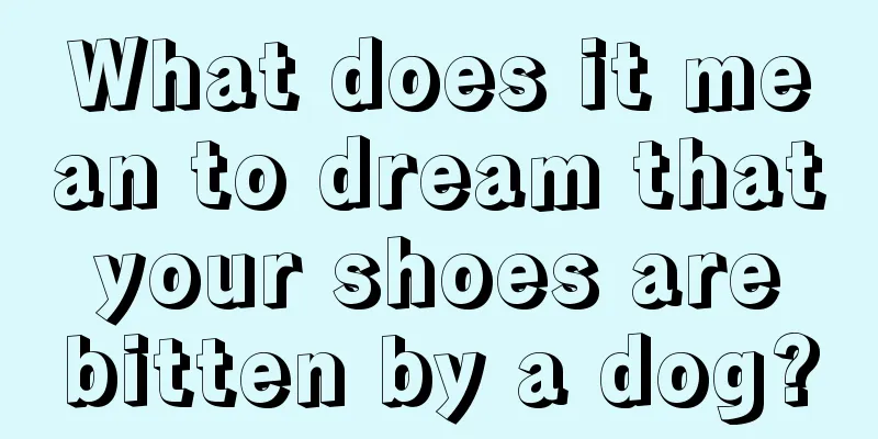 What does it mean to dream that your shoes are bitten by a dog?